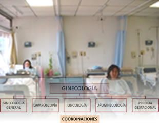 Problemas Ginecológicos