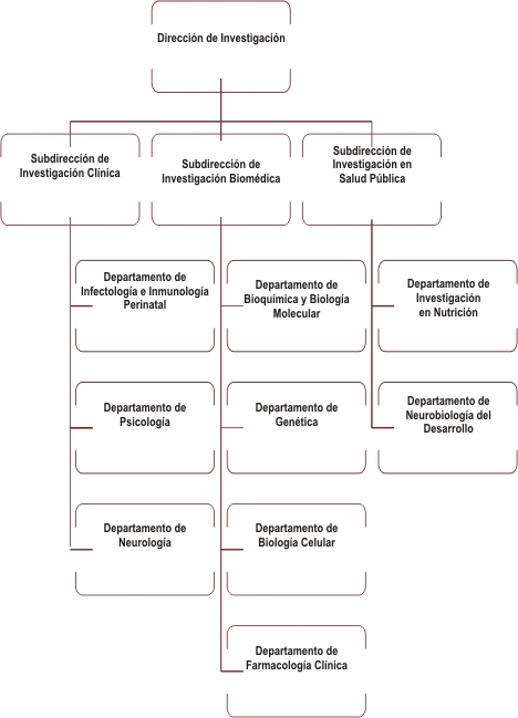 Dirección de Investigación